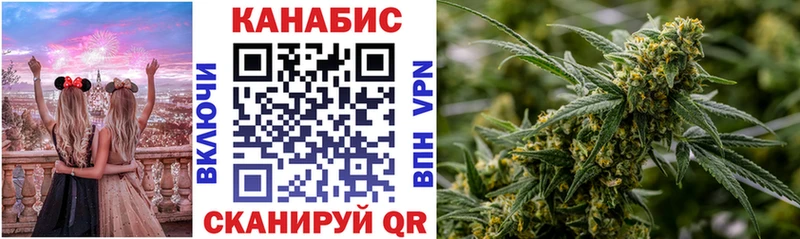 Канабис план  Сураж 